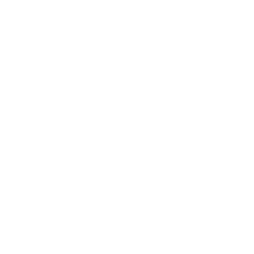 SoniX